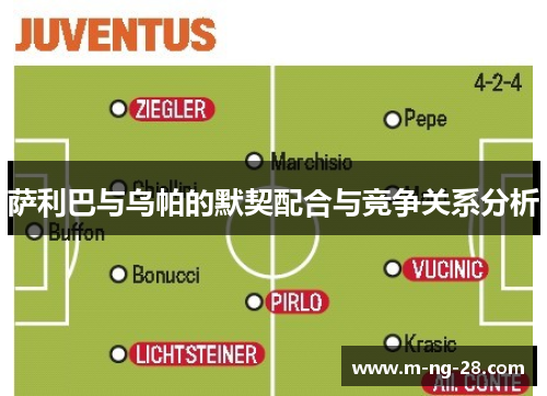 萨利巴与乌帕的默契配合与竞争关系分析